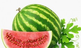 娱乐吃瓜酱植物人,揭秘娱乐界的“吃瓜酱”传奇