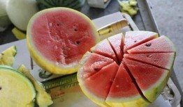 小嘉娱乐吃瓜,揭秘娱乐圈最新吃瓜事件，带你领略明星幕后故事